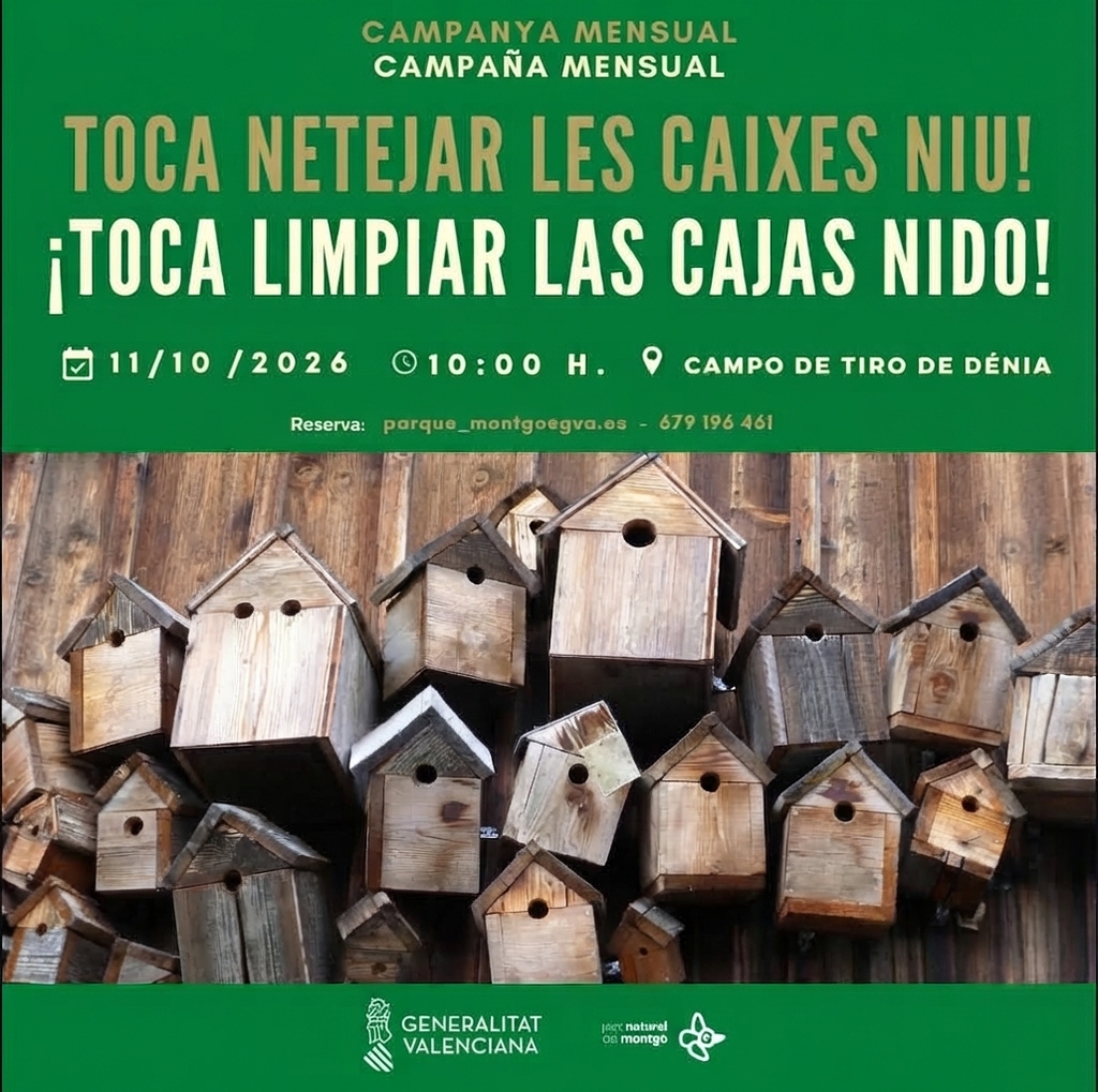 Family nest box cleaning activity